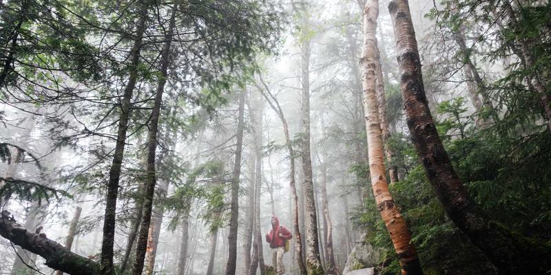 意图驱动网络：当网络能“听懂”业务，自愈与优化如何重塑网络安全与云计算