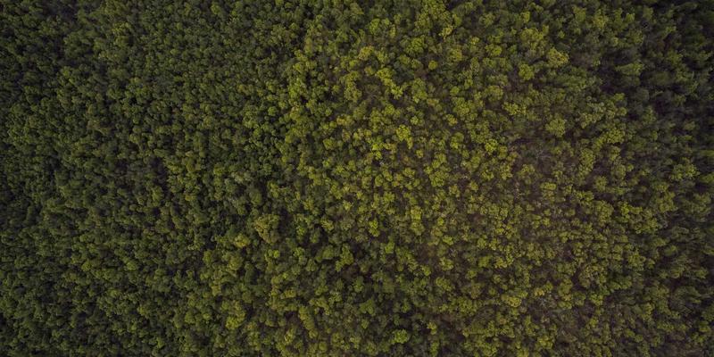 毫秒定胜负:NTP与PTP如何成为金融交易与工业自动化的隐形基石