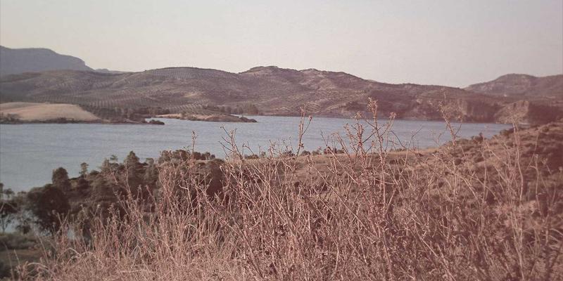 混合云时代，MPLS仍是黄金标准吗？深度解析XLTC CG与云原生替代方案