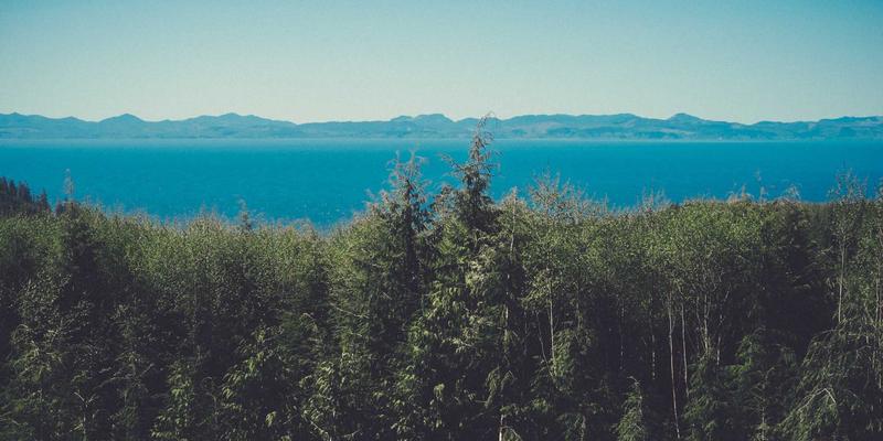 边缘计算网络架构实战：构建物联网与实时应用的下一代低延迟网络